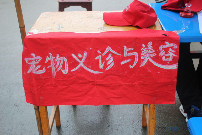 Cache_-31433d66a34b782..jpg