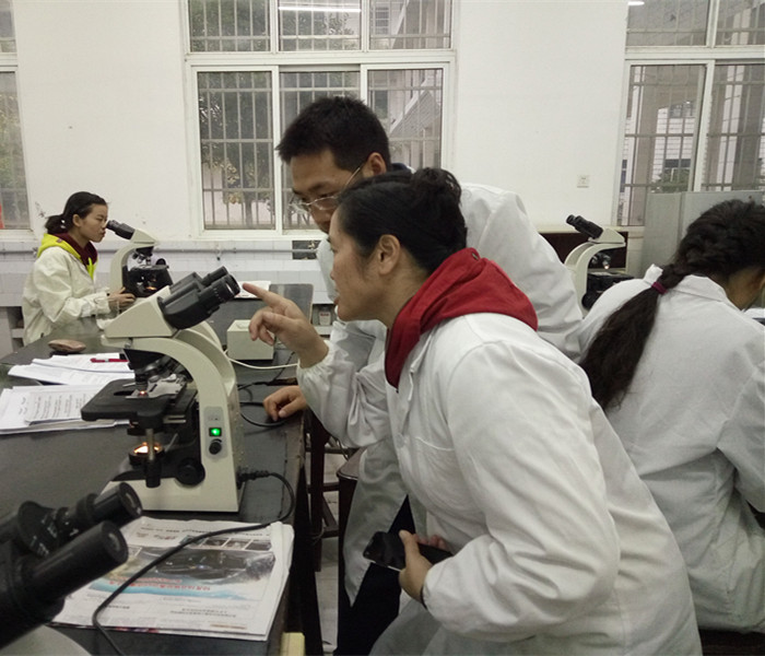 IMG20151029172257_副本.jpg